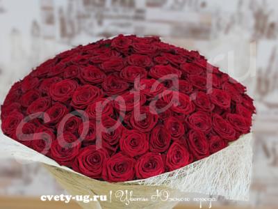 , 101,   , , 