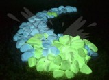 Светящиеся камни / Краснодар