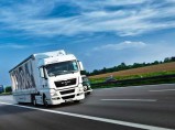 Междугородние и международные перевозки грузов / Сочи