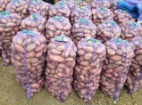 Продам молодой картофель оптом в Краснодарском крае,картофель оптом краснодар,урожай 2018 года / Краснодар