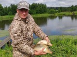 Полуостров 50 Га в живописном месте на р. Ёлнать в Ивановской обл. / Краснодар