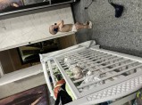 Наращивание Ресниц  Краснодар / Краснодар