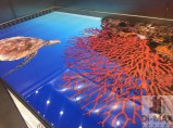 Профессиональный монтаж наливных 3D полов в Краснодаре! / Краснодар