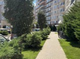 Благоустройство и озеленение территории под ключ. / Краснодар