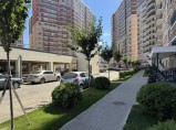 Благоустройство и озеленение территории под ключ. / Краснодар