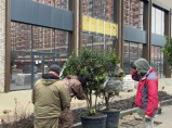 Благоустройство и озеленение территории под ключ. / Краснодар