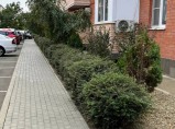 Благоустройство и озеленение территории под ключ. / Краснодар