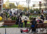 Скамейки из лиственницы на стальных опорах с чугуном и ковкой СК16л-2 / Краснодар